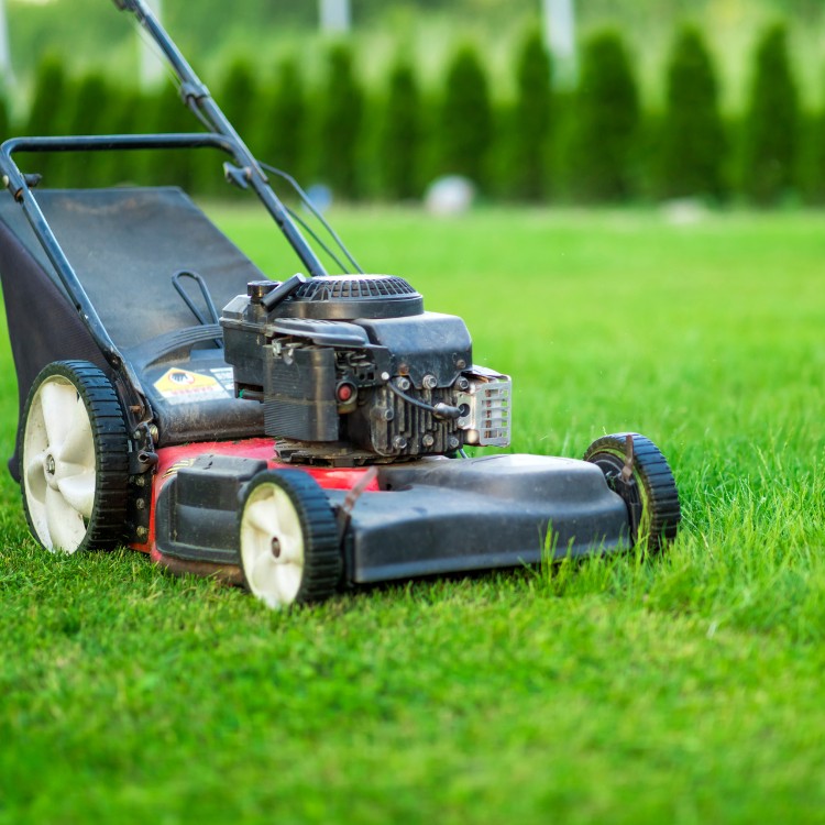 Lawn care services in Burke County, NC Lawn care services in Burke County, NC
