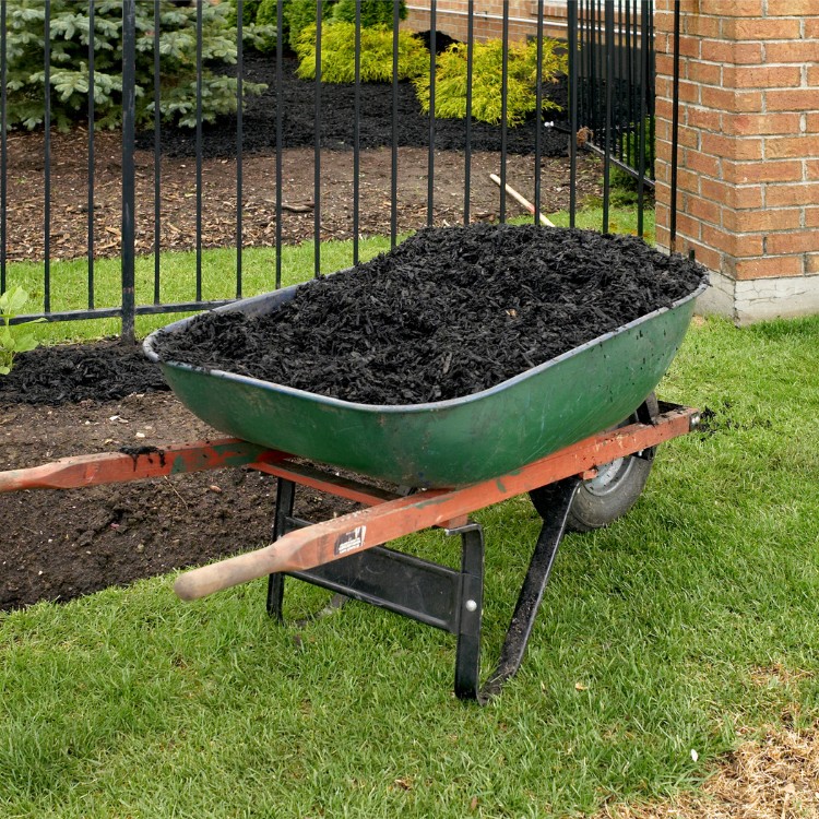 Lawn care services in Burke County, NC Lawn care services in Burke County, NC