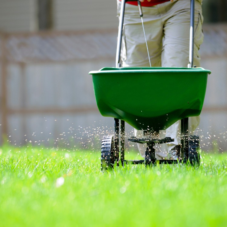 Lawn care services in Burke County, NC Lawn care services in Burke County, NC